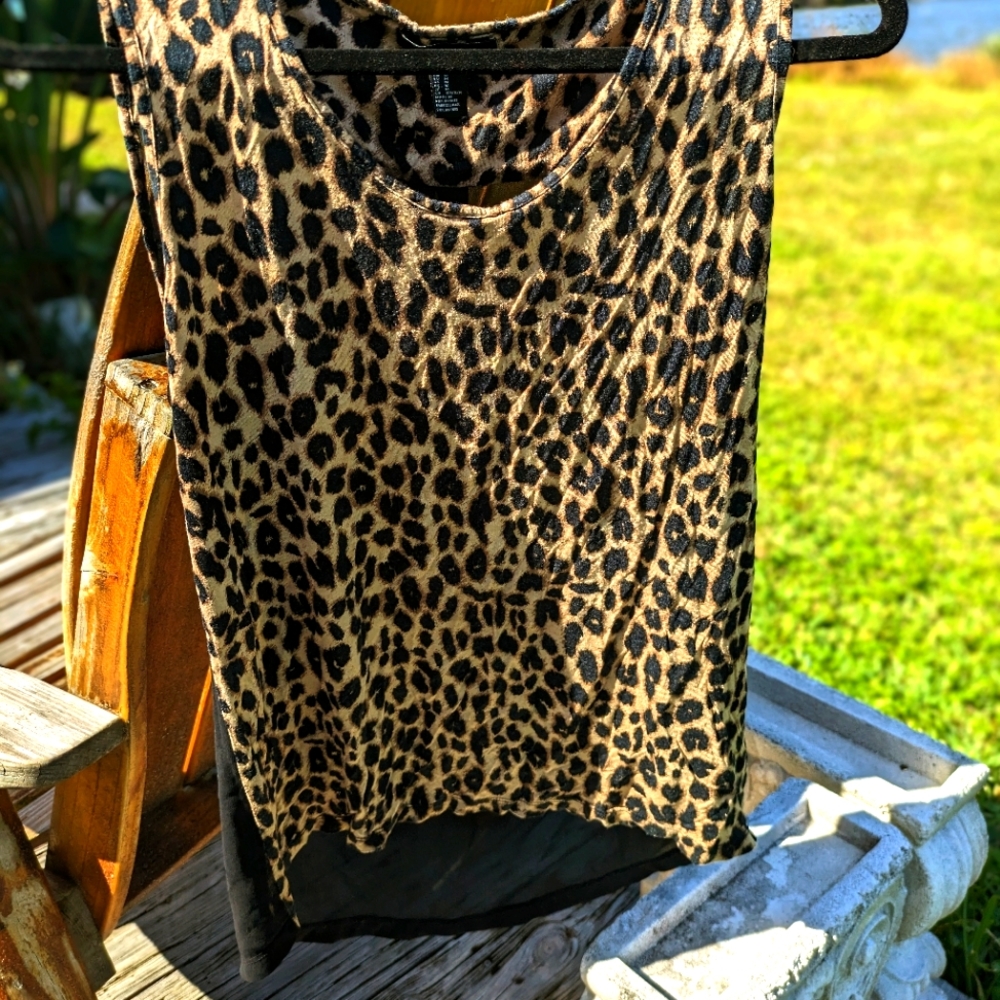 Sheer top